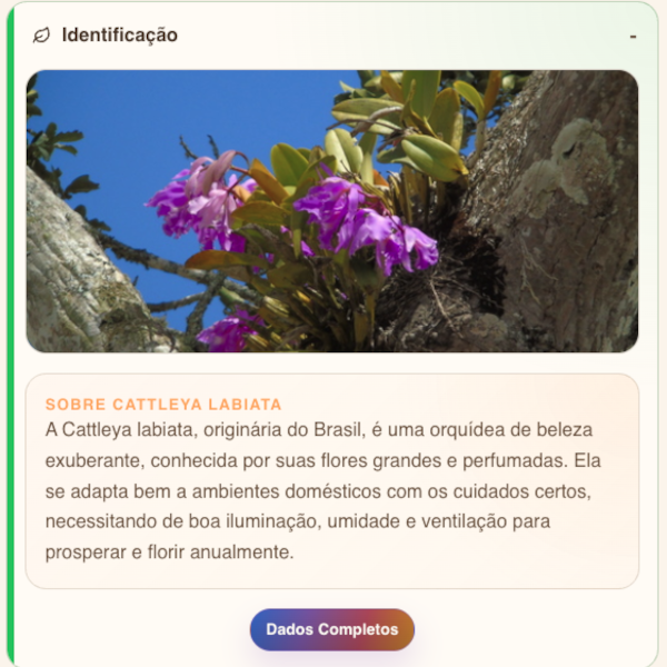 Agenda de Cultivo
