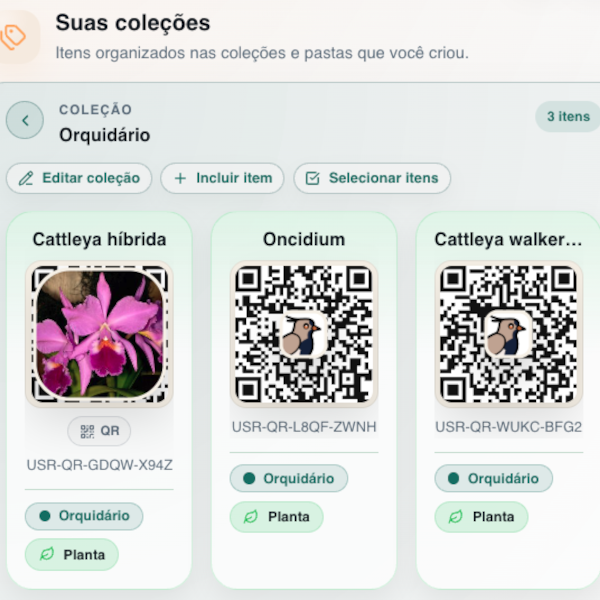 Organização Inteligente
