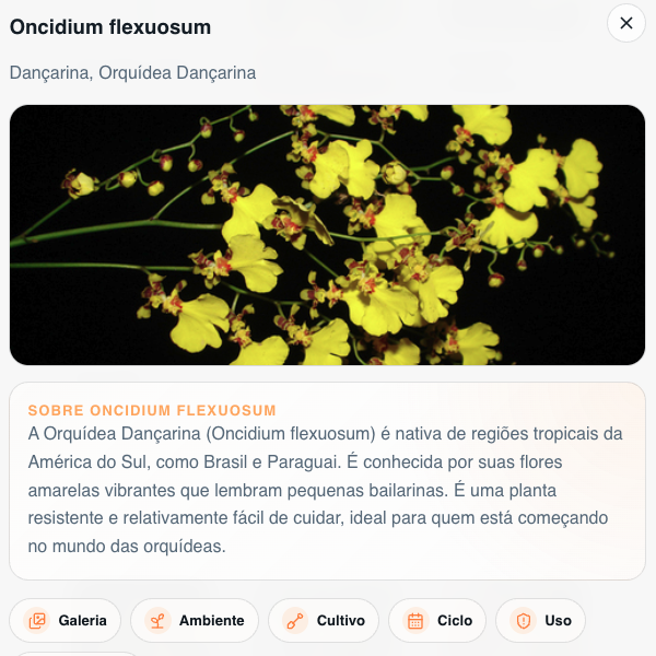 Ficha Digital Completa