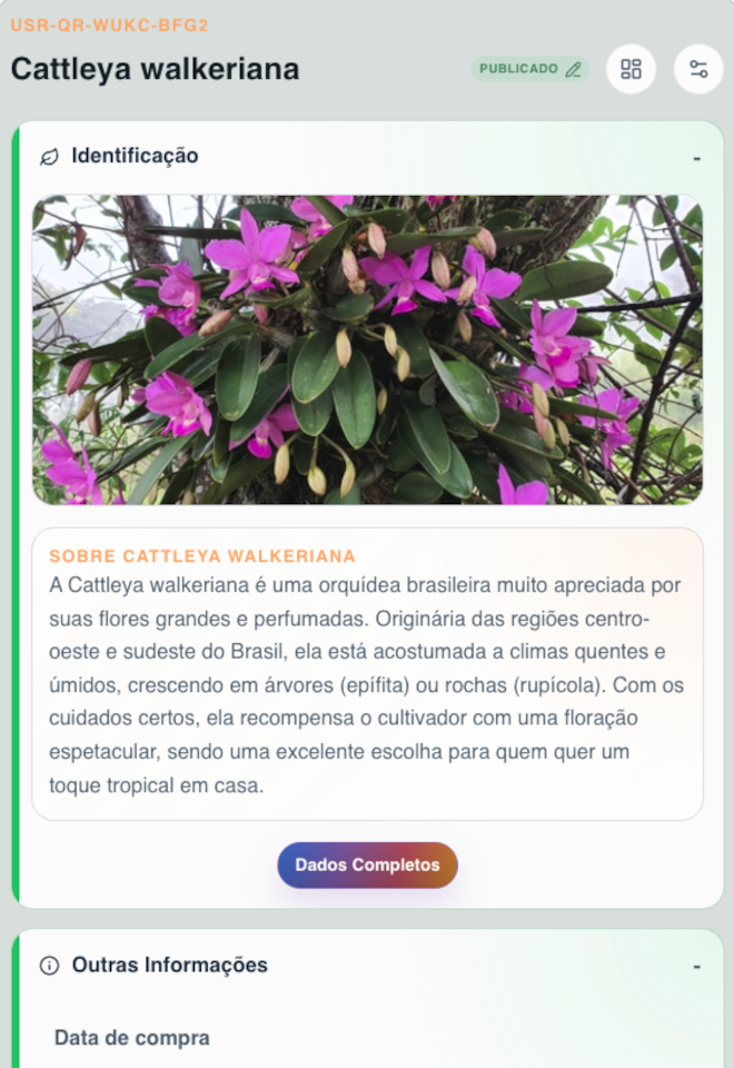 Ficha 3